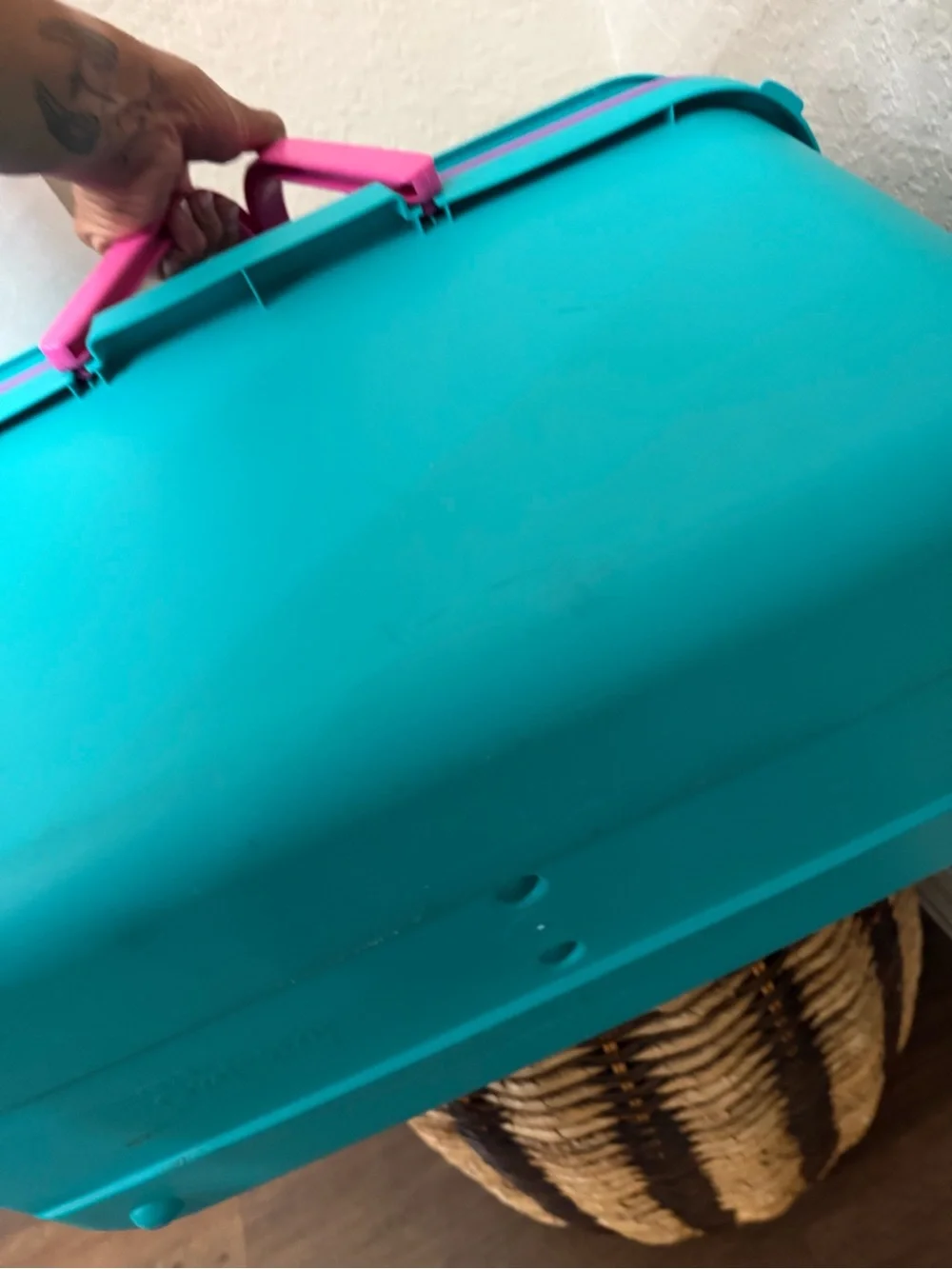 Vintage Eagle Craftstor Sewing Craft Storage Organizer Tote Bin Teal Purple Pink